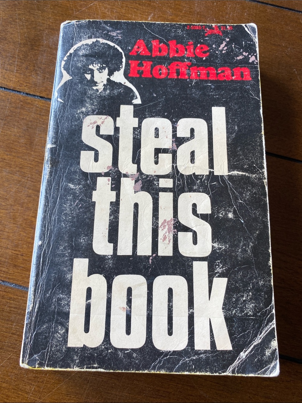 Steal This Book - Abbie Hoffman a funny take on radical anarchists of the 1970s